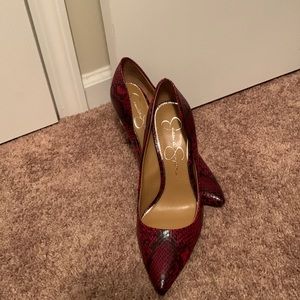 Gorgeous Snakeskin Shoes